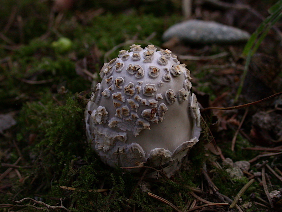 DSCN0582.jpg
