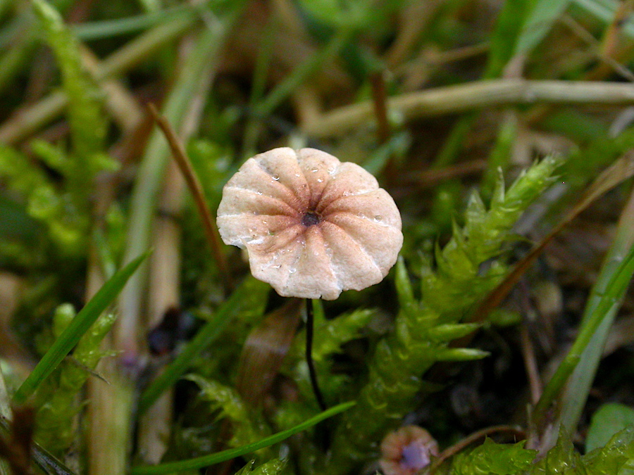 DSCN9554.jpg