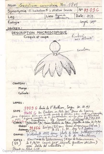 Geastrum coronatum (Geastrum_coronatum_1979_jm_1.jpg)